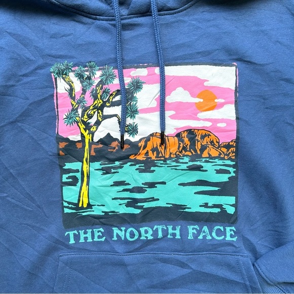 The North Face Blue Graphic Injection Hoodie Shady Blue Wasabi - Picture 3 of 6